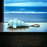 Dolphin Fidget Toy Keychain, Dolphin Gifts, 3D Printed Keyring, Under 5 pounds